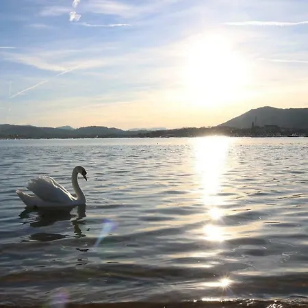 Boulevard De La 33 Apartam 11 *