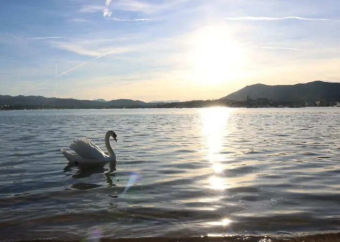 Boulevard De La 33 Apartam 11 *